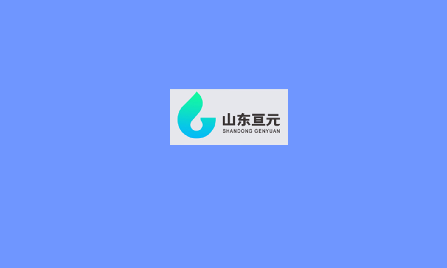山东亘元